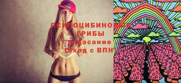 apvp Гусиноозёрск